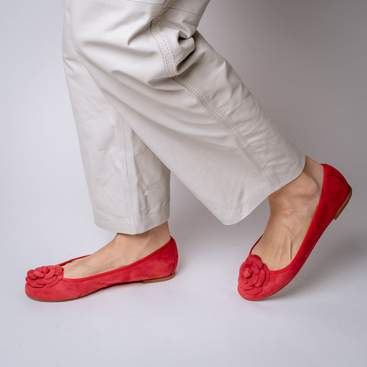 ROUND ANTE 25 v CON LYON AMAPOLA